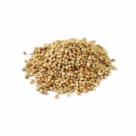Coriander Seeds