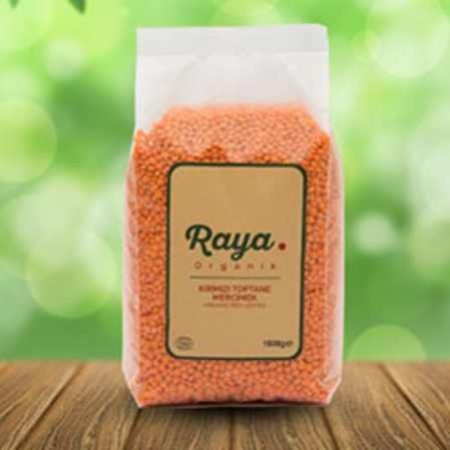 Red Lentil